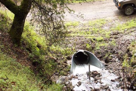 Stream Crossing Culvert Upgrade Flared Inlet Pacific Watershed