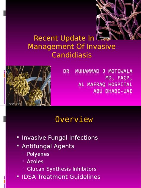 Recent Update In The Management Of Invasive Fungal Infection 1ppt