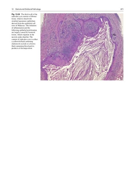Atlas Of Anatomic Pathology With Imaging