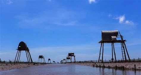 Chính sách bình quân ruộng đất , nam nữ bình đẳng. Bãi biển Đồng Châu Thái Bình - Sự mê hoặc từ thiên nhiên