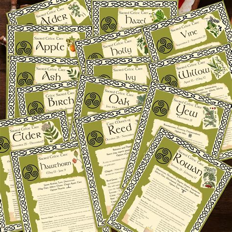 Celtic Trees 15 Pages Sacred Druid Tree Lore Instant Etsy