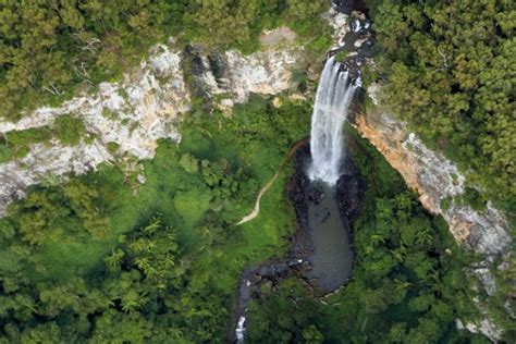 Best Rainforest Walks Near Cairns Fitzroy Island