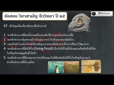 รปฏิบัติหน้าที่ด้วยความซื่อสัตย์ สุจริต เป็นธรรมและโปร่งใส ภายใต้แน อบประกาศเกียรติคุณ และเงินรางวัลให้แก่ นางสาวเตือน ประทุมทอง และนางนกน้อย สีดำ พ. เฉลย #9วิชาสามัญชีวะ ปี 62 ข้อ 64-67 : วิวัฒนาการของ ...