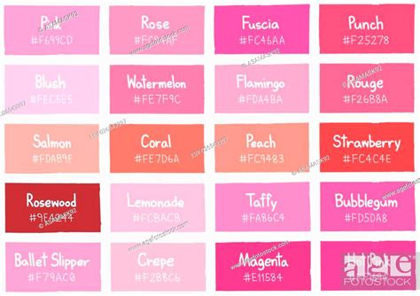 Pink Tone Color Shade Background With Code And Name Illustration Stock
