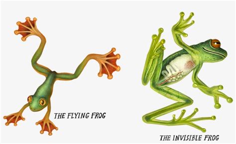 Kermit The Laying Down Frog Free Transparent Png Download Pngkey