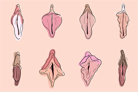 tipos de vaginas y por qué la tuya es totalmente normal SexiezPicz Web Porn