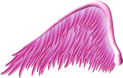 Pink Angel Wing Png By Thy Darkest Hour On Deviantart
