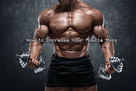 how to increase your muscle mass 11 tips