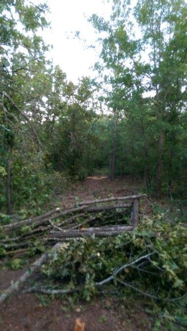 Natural Ground Blind Hunting Ground Blinds Hunting