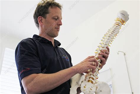 Orthopedic Surgeon With Spine Model Stock Image C0271231 Science