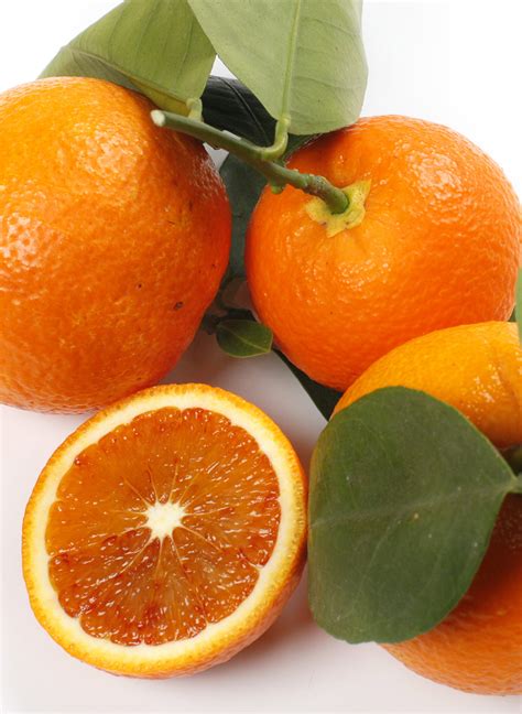 Strawberry Sweet Orange Citrus Sinensis Agrumi Lenzi