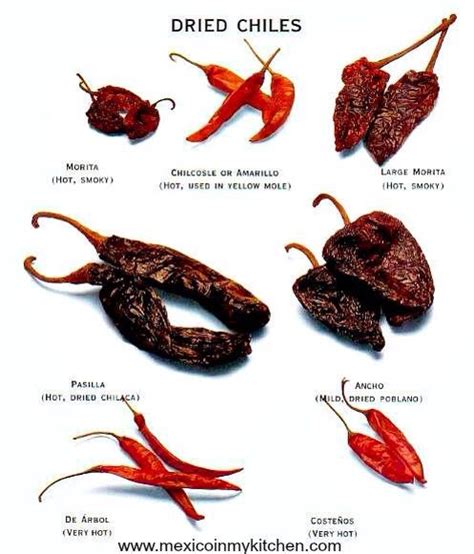 Mexican Dried Peppers Selection