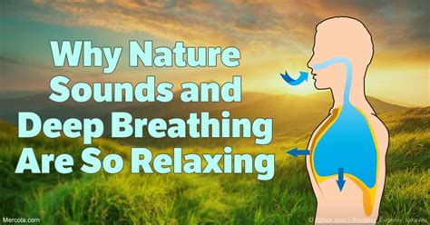 Why Nature Sounds And Deep Breathing Are So Relaxing