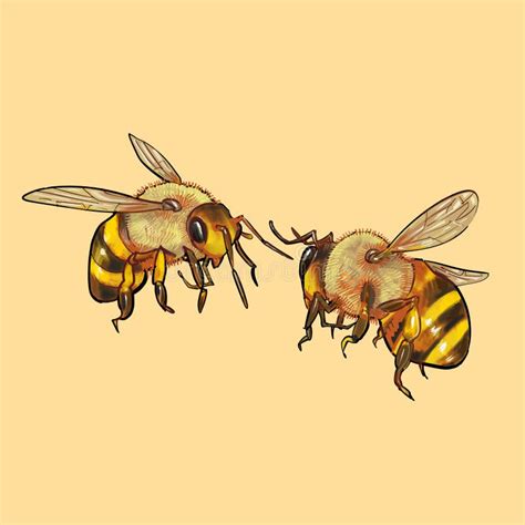 Isolated Bumble Bees Flying Stock Illustration Illustration Of