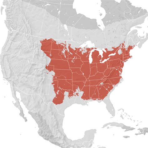 Field Sparrow Range Map Breeding Ebird Status And Trends