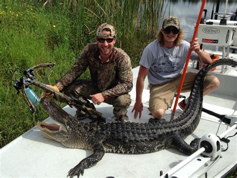 Florida Alligator Hunt 10353