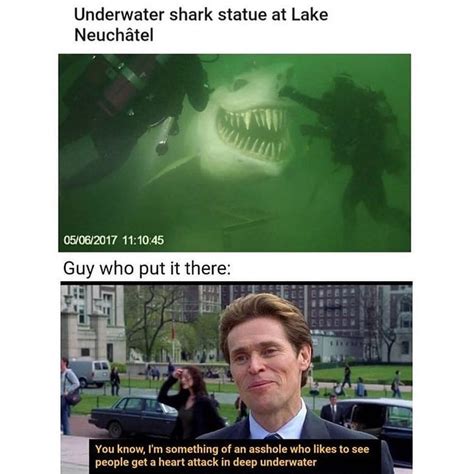 Underwater Shark Statue At Lake Neuchätel Guy Who Put It There You Know I M Something Of An