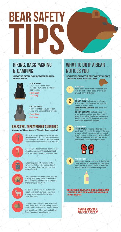 Bear Safety Tips Infographic Bear Safety Camping Safety Hiking Tips
