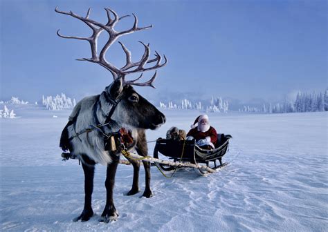 introducir 80 imagen santa s reindeer names vn