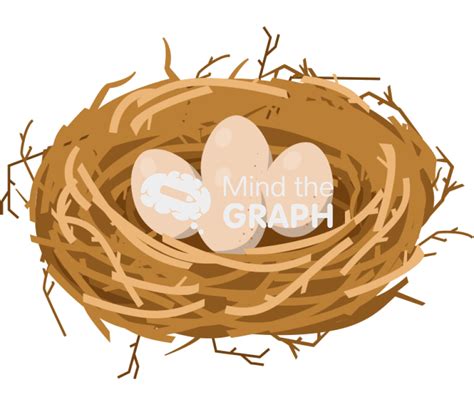 Bird Nest Eggs