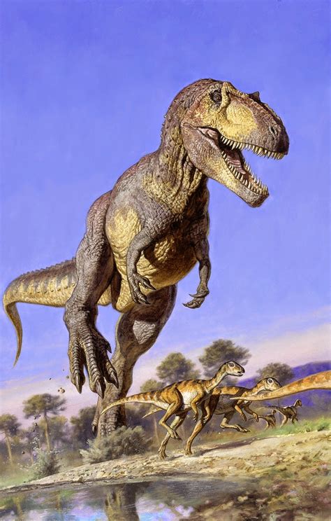 Giganotosaurus Vs Tyrannosaurus Rex Times They Met Before Jurassic