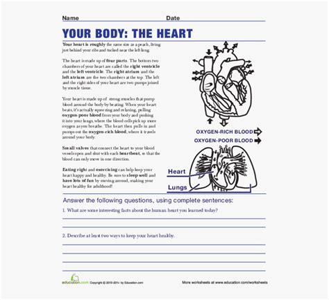 Our free science worksheets are great for everybody! Life Science Worksheets High School, HD Png Download , Transparent Png Image - PNGitem