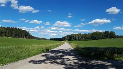 Green Field Og South Sweden Stock Image Image Of Rural Scenary