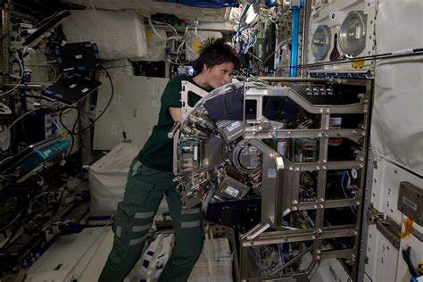 Scientific Research Done On The International Space Station Digitash