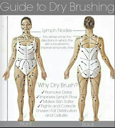 Dry Skinbrushing Guide For Lymphatic Flow Stimulation