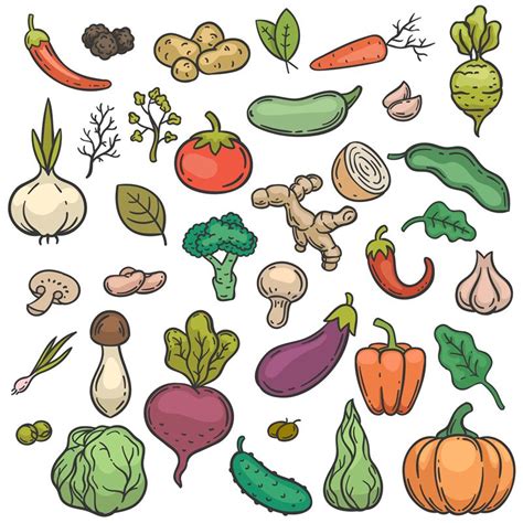 Sketch Vegetables Hand Drawn Color Vegetable Veggie Product Healthy D