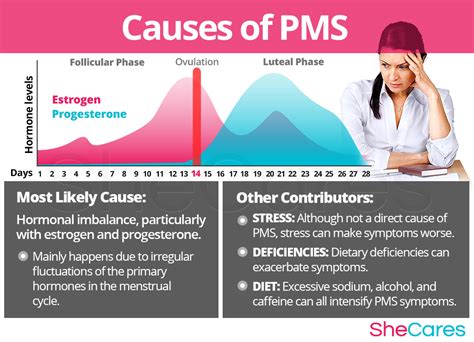 Premenstrual Syndrome Pms Shecares