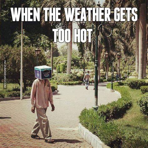 Have A Look At These Memes When Its Hot Outside — Funny Pictures