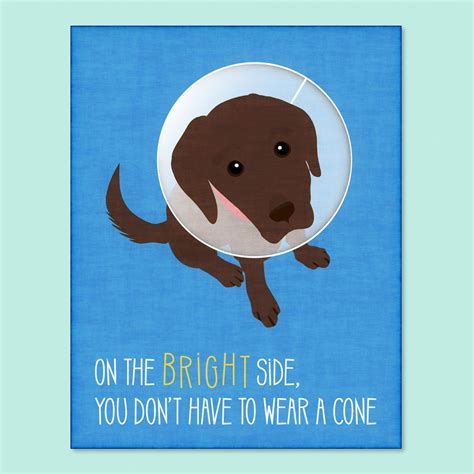 Funny Dog Greeting Card Get Well Soon Card Funny Get Well Etsy In