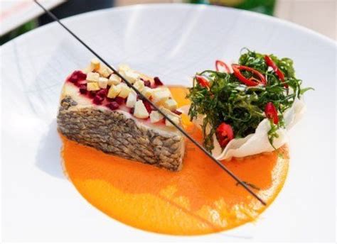 Seabass Haute Cuisine Dish With Herbs And Vegetable Puree Food