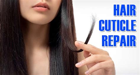 Exploring What Can Penetrate Hair Cuticle And Its Effects On Hair