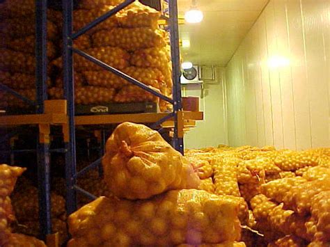 Potato And Onion Cold Storage Room At Best Price In Rajkot By Cool City