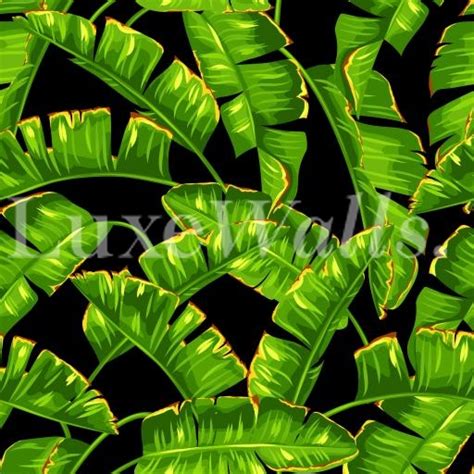 Download Wallpaper Green Leaf Hd