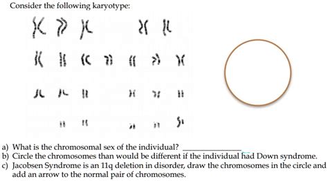solved consider the following karyotype k j x il a what is the chromosomal sex of the