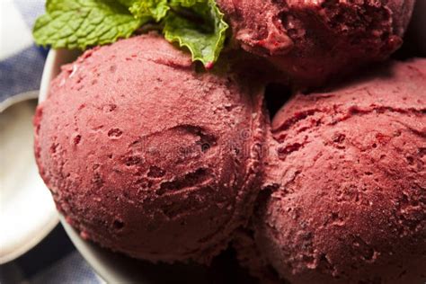 Homemade Organic Berry Sorbet Ice Cream Stock Image Image Of Dessert
