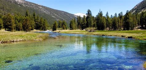 Hiking Lyell Canyon And The Jmt Out Of Tuolumne Meadows