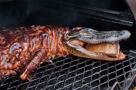 Eating Alligator Growing In Popularity In Houston And Gulf Coast