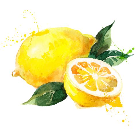 Pin By Modorova Svetlana On Фрукты Lemon Painting Lemon Watercolor
