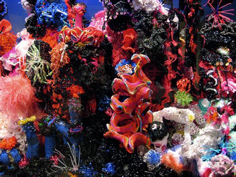 Crochet Coral Reef Toxic Seas The Museum Of Arts And