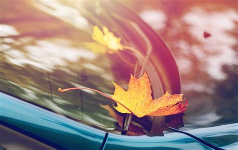 Fall Vehicle Maintenance Checklist