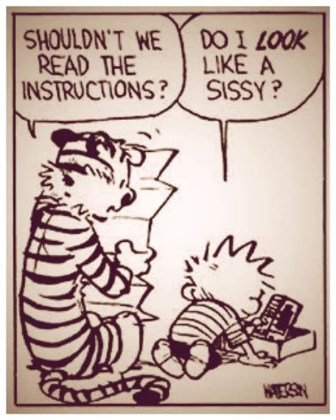 Pin By MIR On Calvin And Hobbes Calvin And Hobbes Comics Book Worth
