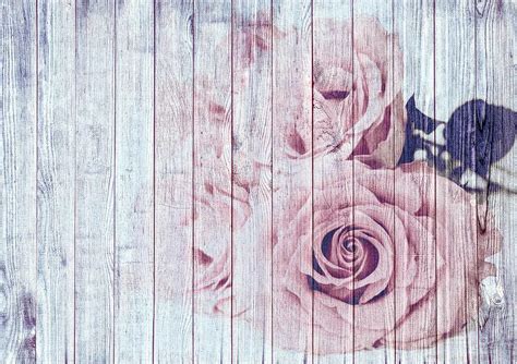 Vintage Shabby Chic Dusky Pink Roses On Blue Wood Effect Background