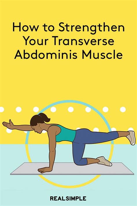 16 Exercises For Transverse Abdominis And Internal Oblique Advanced