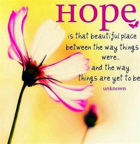 Hope Is That Beautiful Place Between The Way Things Were And The Way