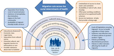 Social Determinants Of Migrant Health Organisation Internationale Pour Les Migrations