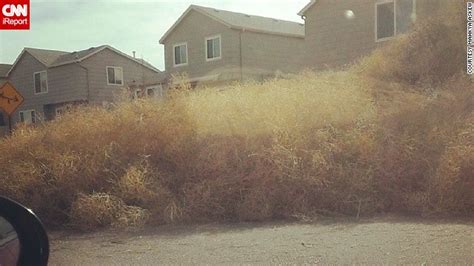 Tumbleweeds Take Over Colorado Neighborhoods